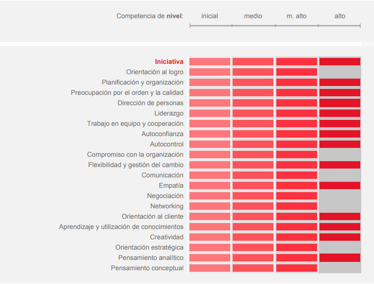 Competencias profesionales de Pedro Rios - Habilidades y capacidades